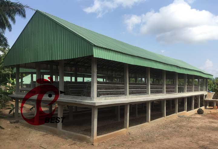 Chicken cage and poultry equipment of Hebei Best Machinery and Equipment Company in Africa