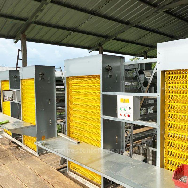 a-list-of-poultry-farm-equipments-and-their-uses