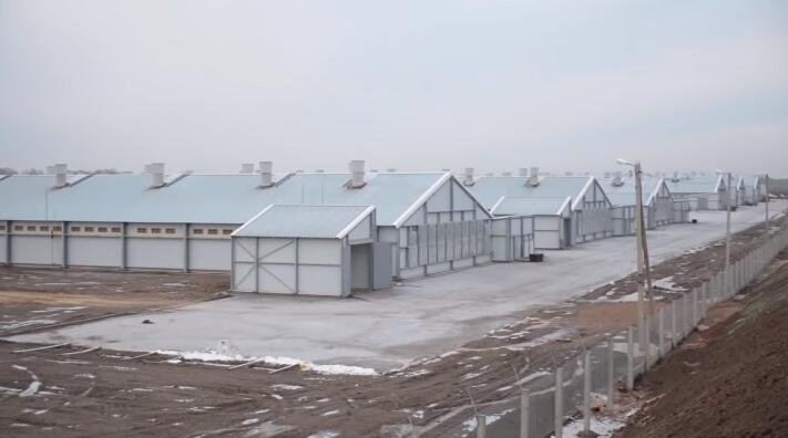 Prefabricated steel poultry coops in farm buildings are usually made of steel-framed walls and roofs etc